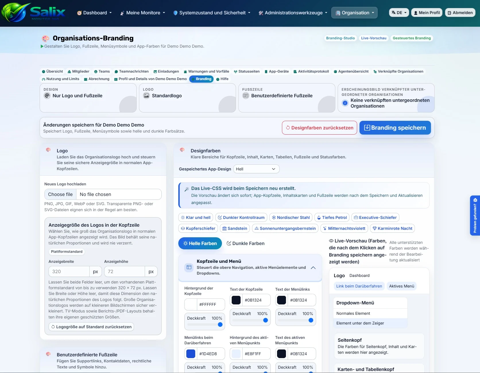 Screenshot der Branding-Einstellungen in Salix Monitor 360