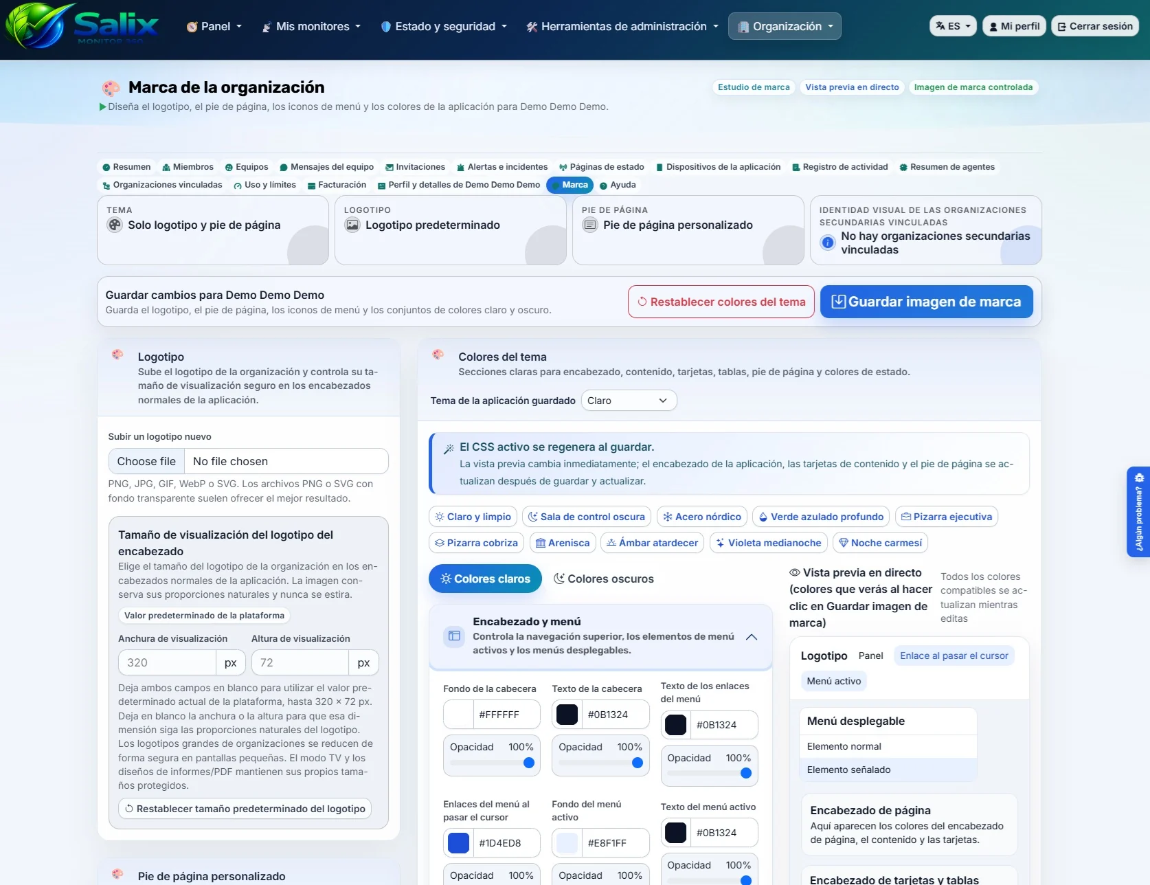 Captura de los ajustes de identidad visual en Salix Monitor 360