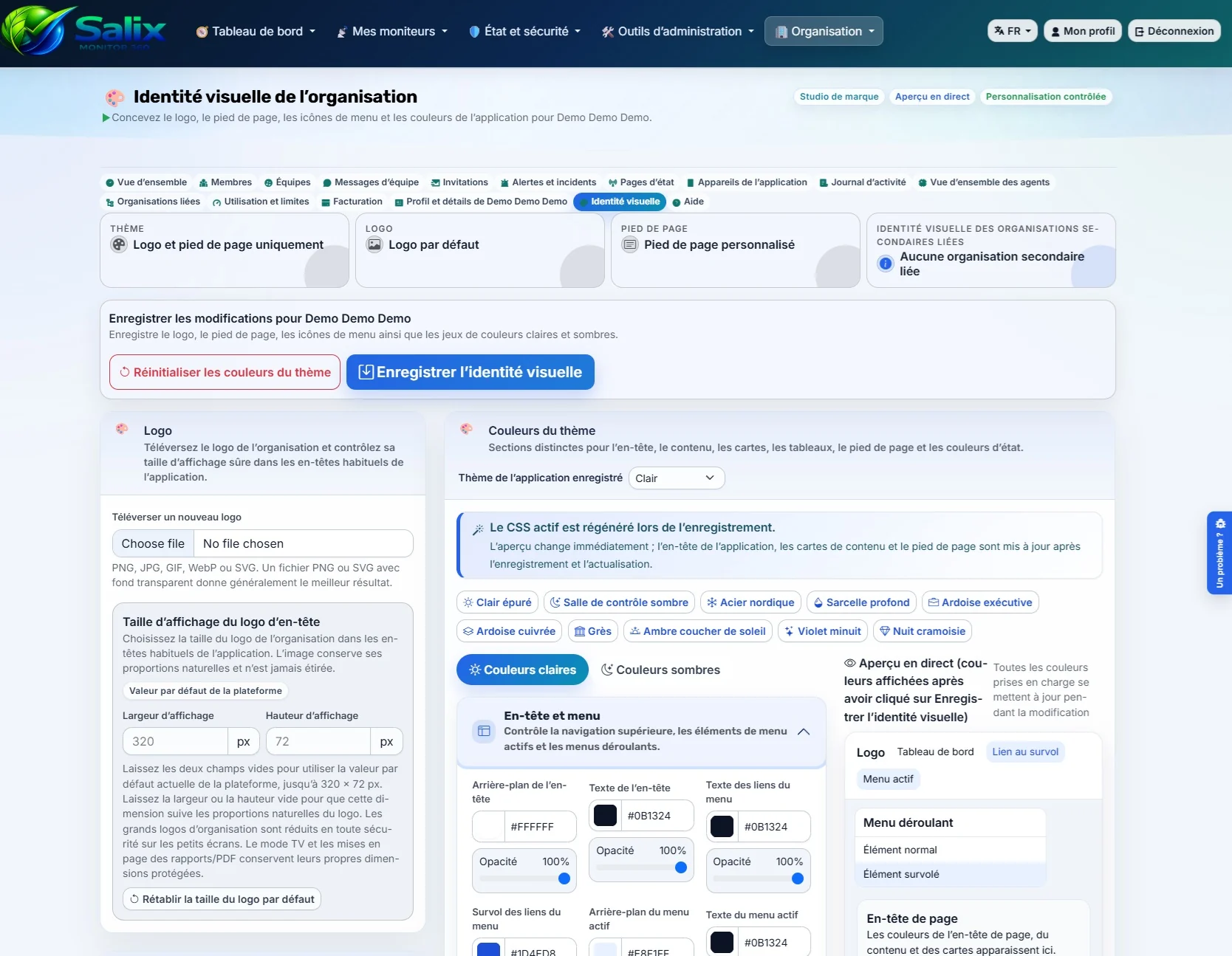 Capture d’écran des réglages d’identité visuelle dans Salix Monitor 360
